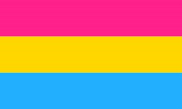 The pansexual flag
